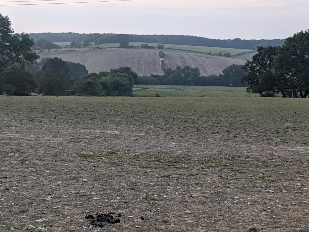 Foxhill Lodges Canterbury Dış mekan fotoğraf
