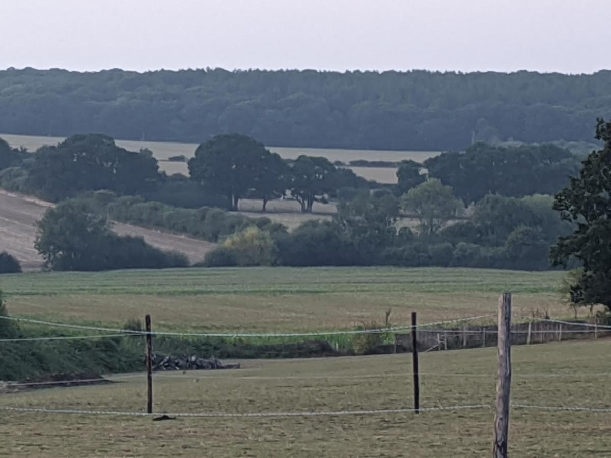 Foxhill Lodges Canterbury Dış mekan fotoğraf