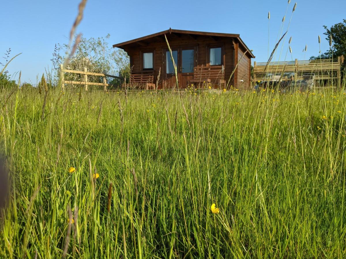 Foxhill Lodges Canterbury Dış mekan fotoğraf